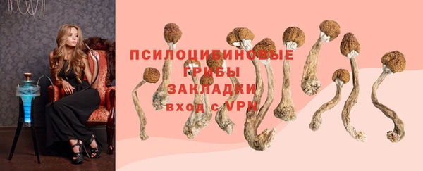 гашик Вязники